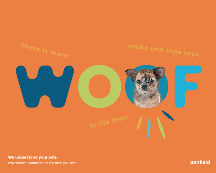 Banfield_Concepts_01_Voices - Woof.jpg