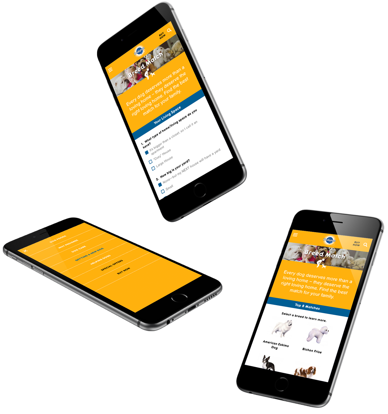 Pedigree_0022_Pedigree.png