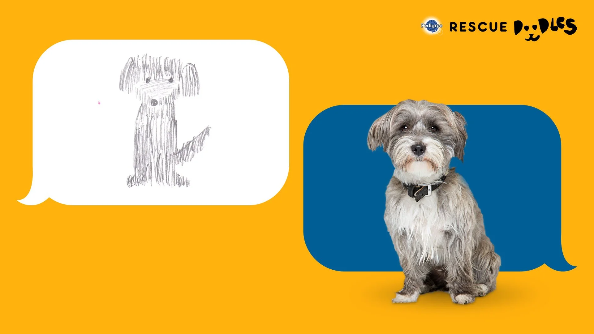 PD-Rescue-PR_0001_Chat 1.jpg