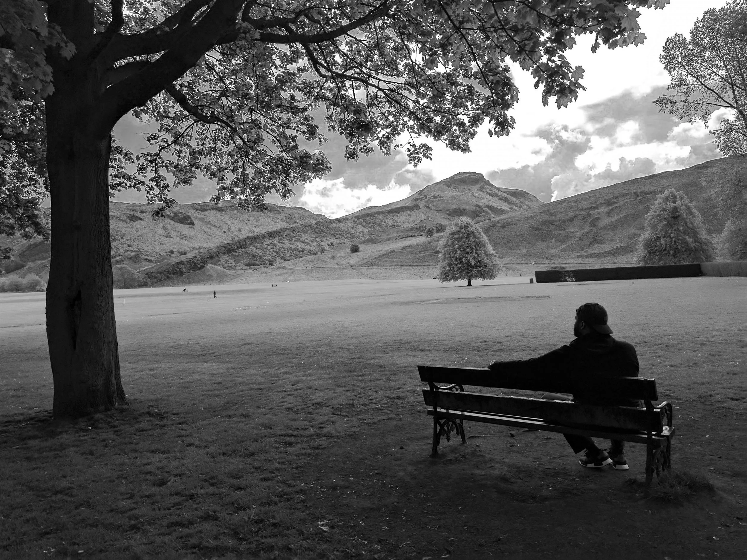 IMG_20170517_124835 copy.JPG