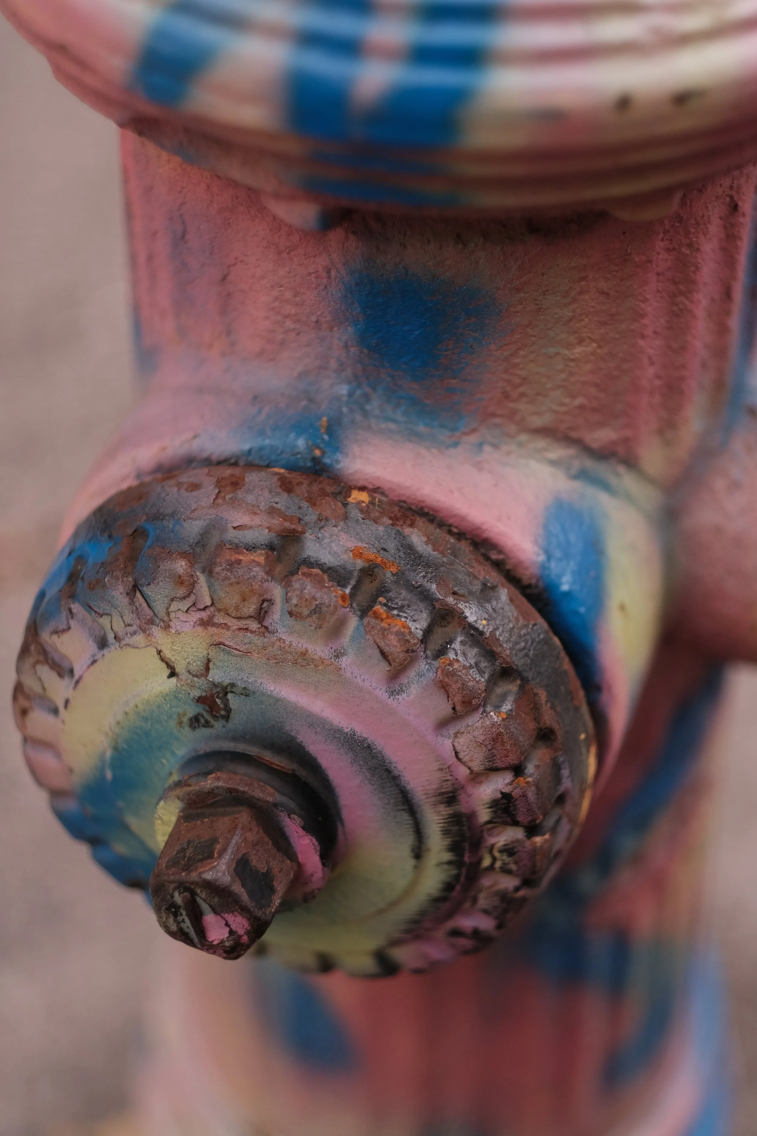 Photograph Three.JPG