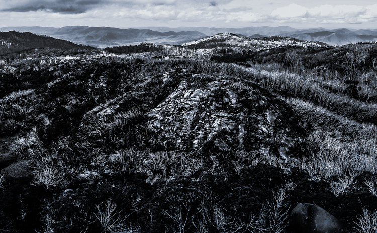MR01+copyright+Martin+Reddy+2014-61.jpg