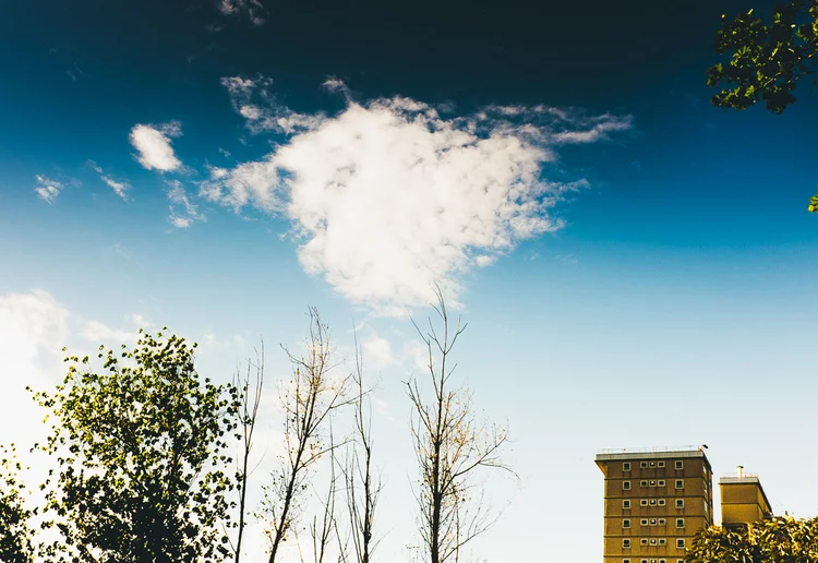 MR01+copyright+Martin+Reddy+2014-62.jpg