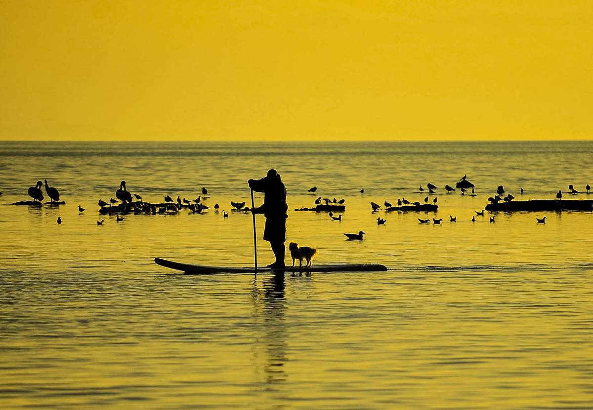 Martin+Reddy+Photography+(54+of+55).jpg