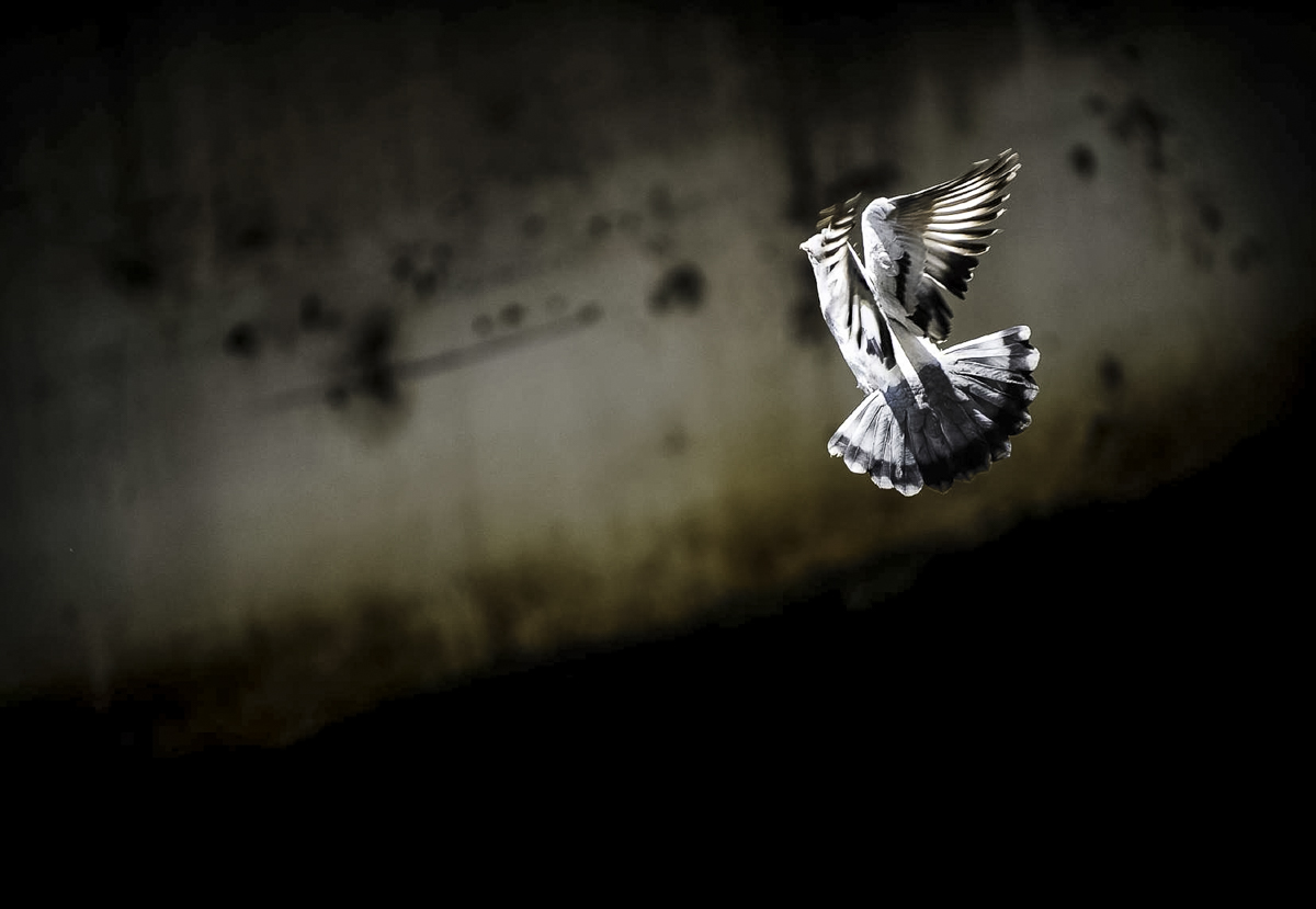 Martin+Reddy+Photography+(86+of+108).jpg