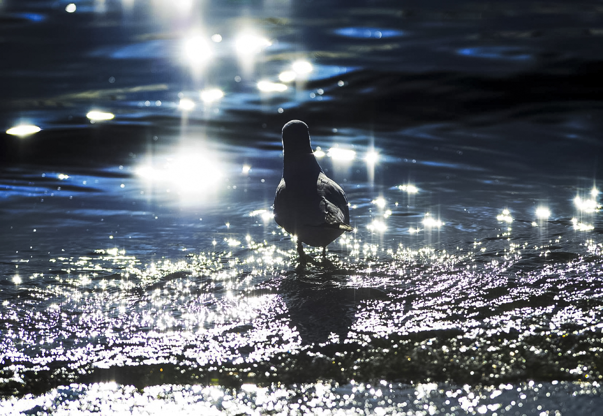 Martin+Reddy+Photography+(91+of+108).jpg