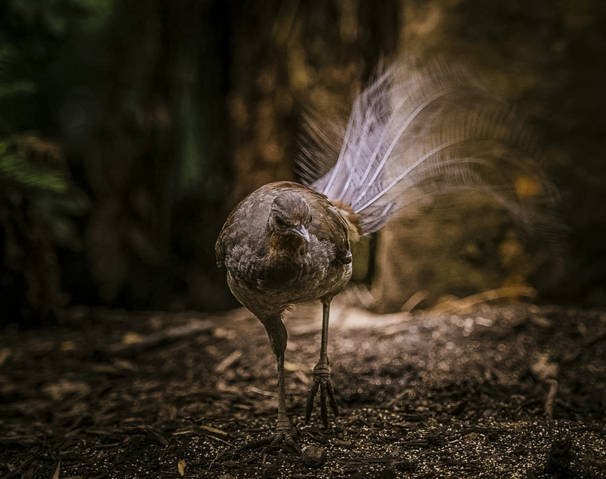 Martin+Reddy+Photography+(94+of+108).jpg