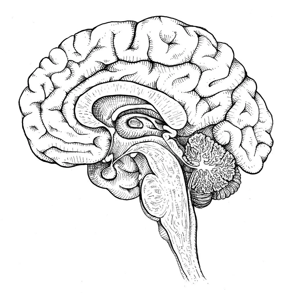 Illustration Danko