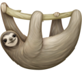 sloth_1f9a5-6.png