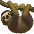 sloth_1f9a5.png