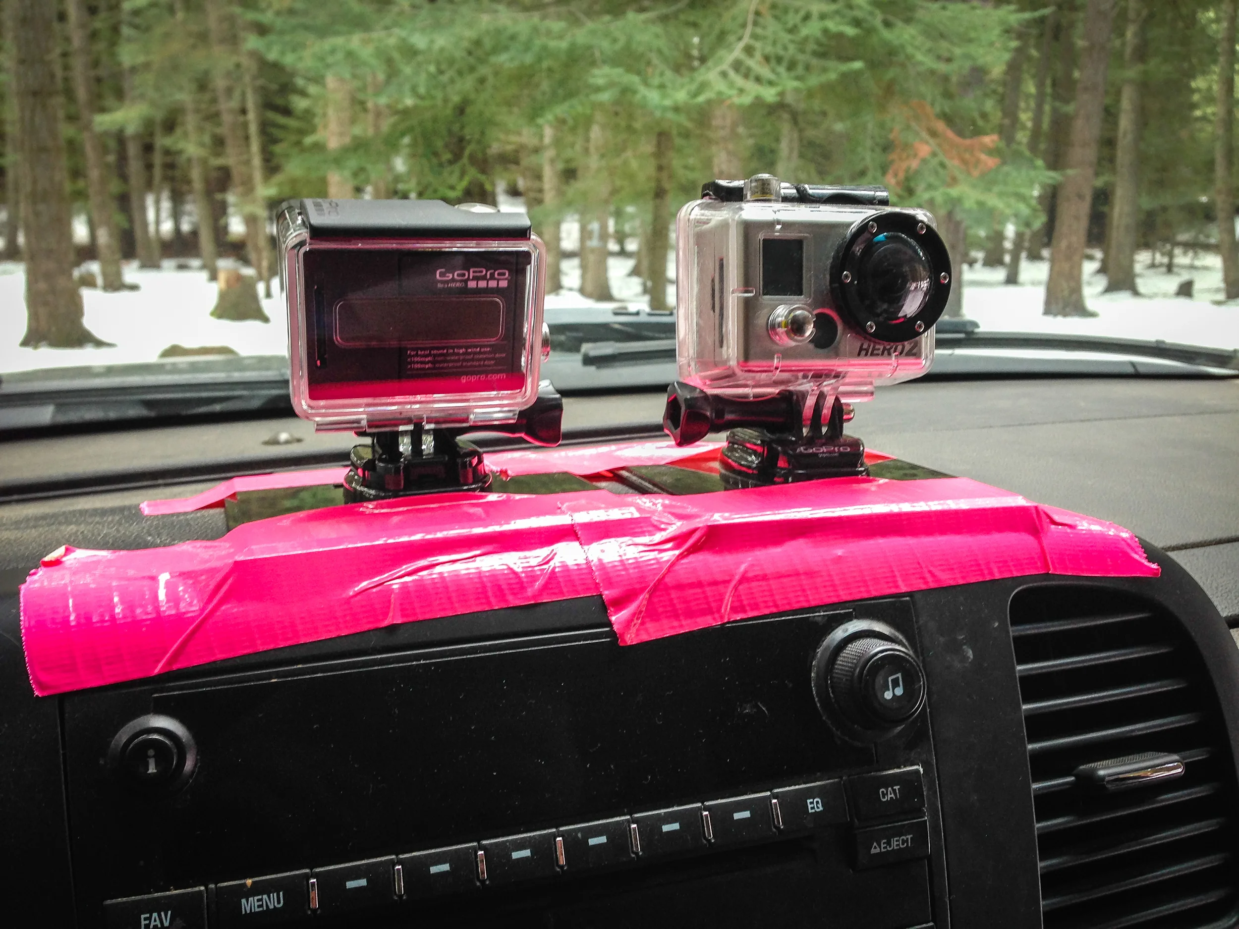 Did some time-lapsing with these guys. Gotta love the pink.