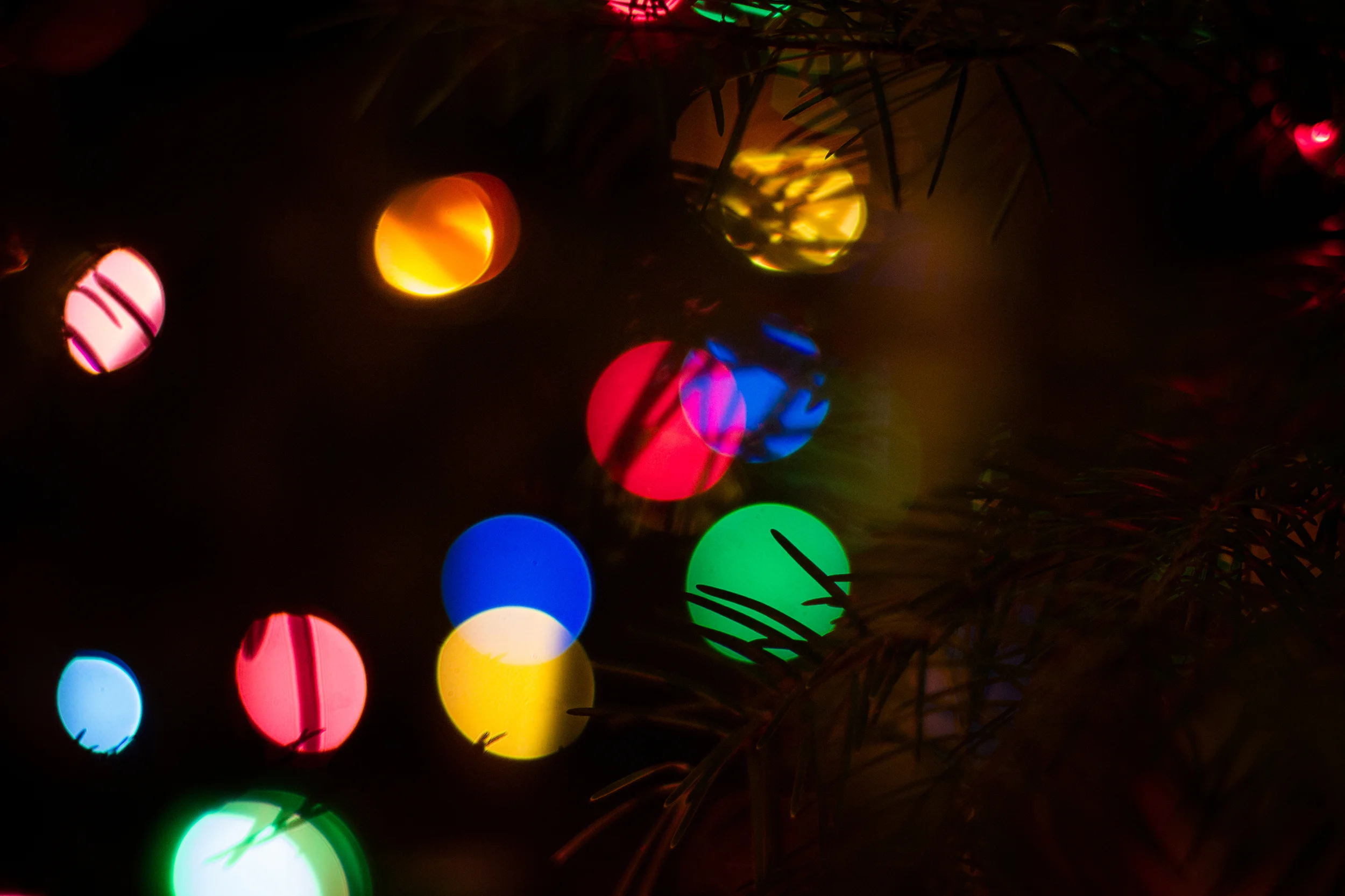 Christmas lights2 for web.jpg