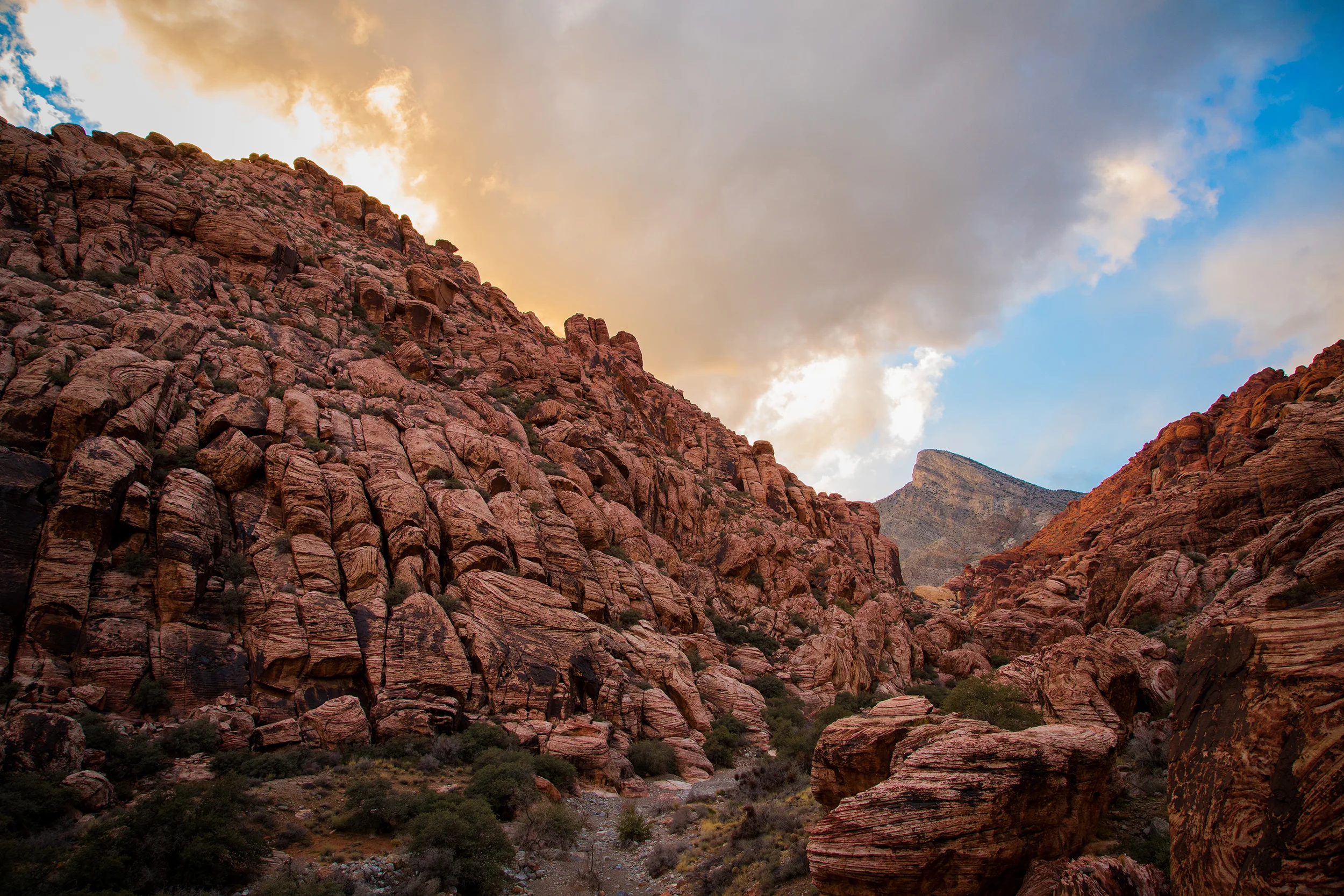Red Rocks for web.jpg