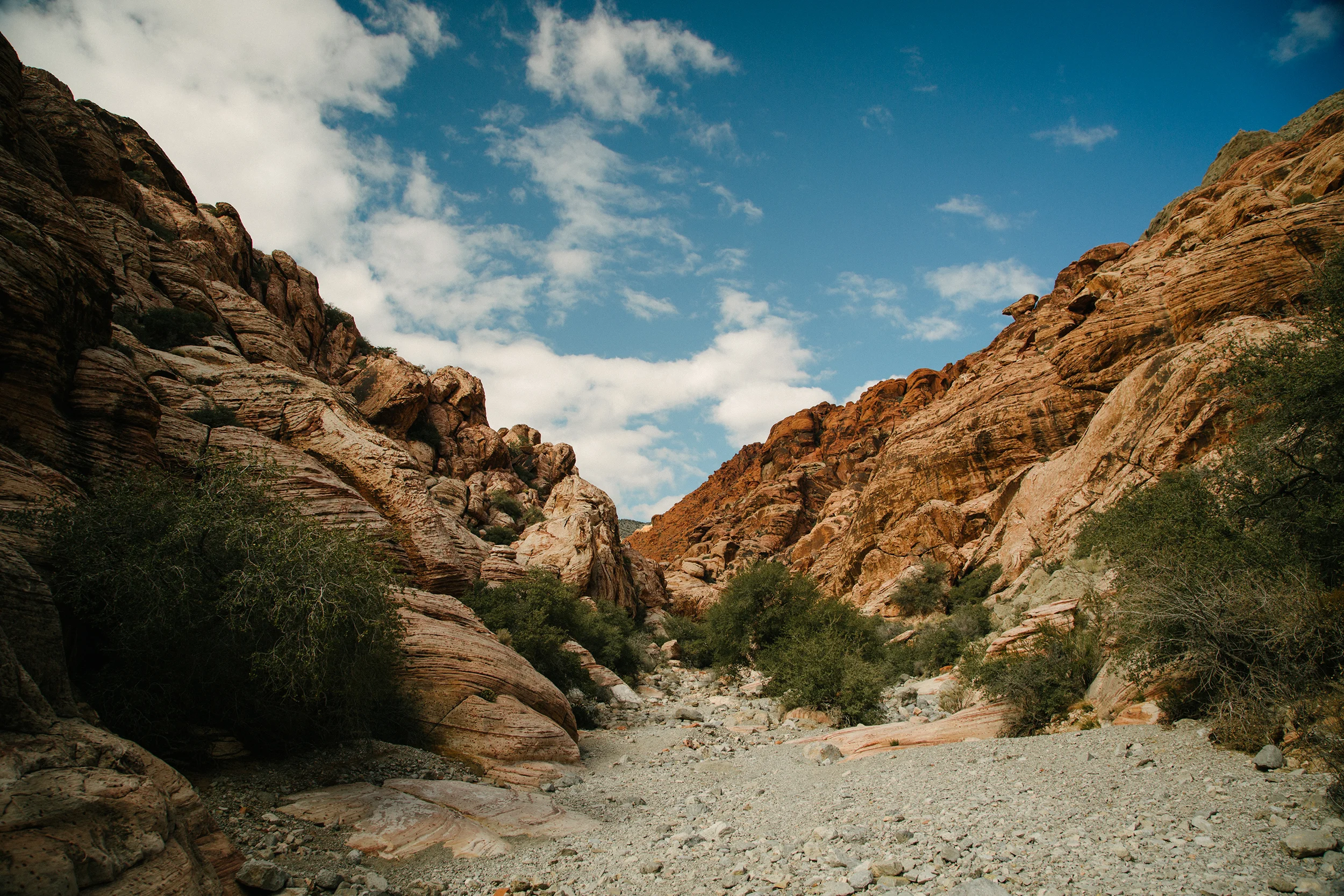 canyon web.jpg