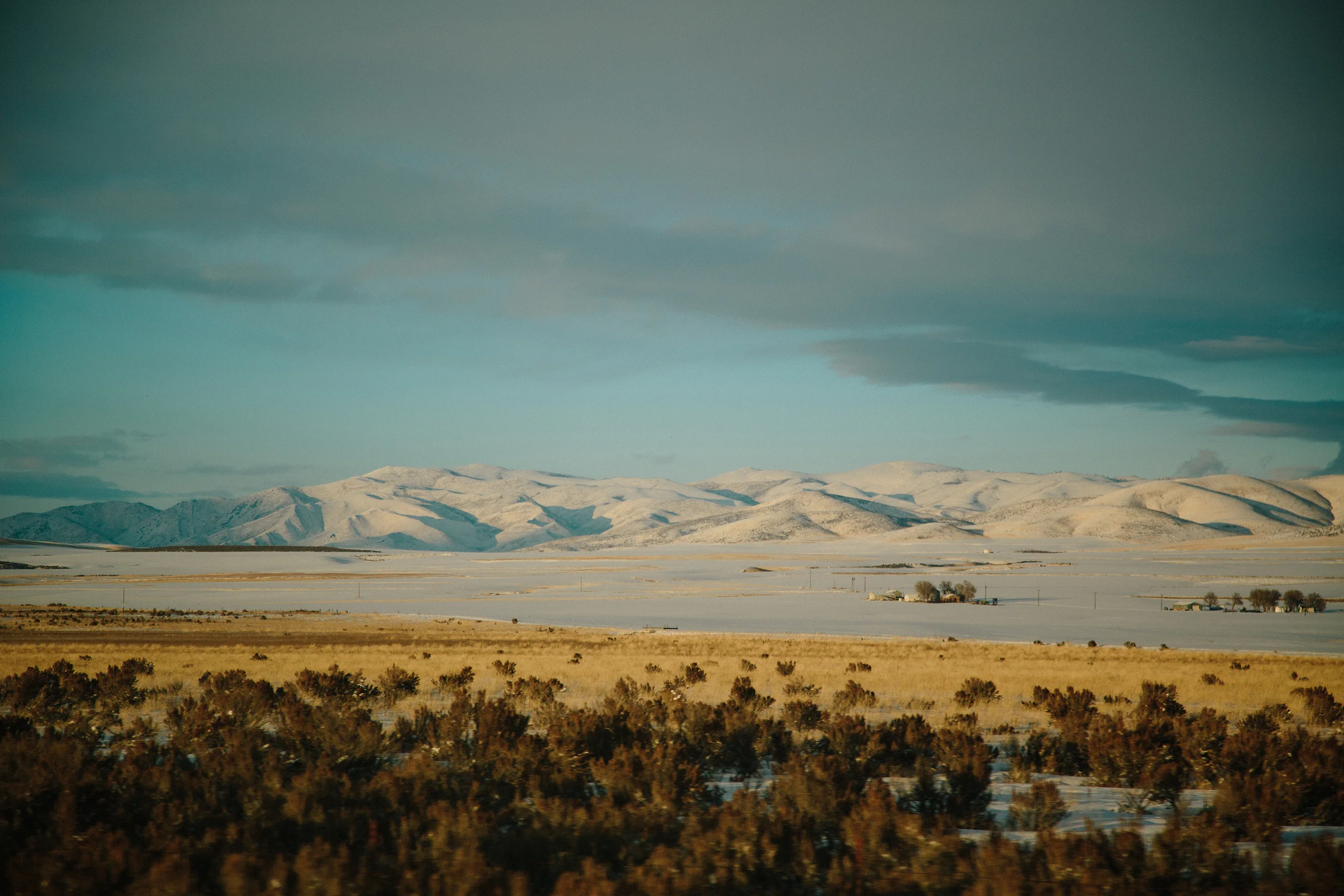 Idaho evening web.jpg