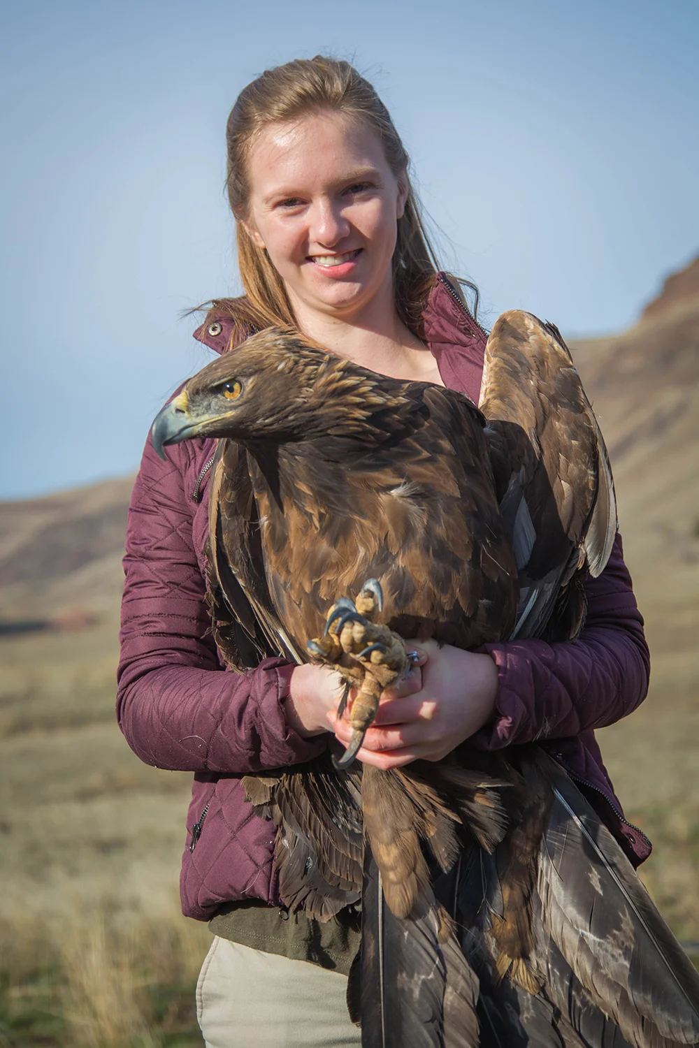 Willow Holding on tight to an Adult Female Golden Eagle