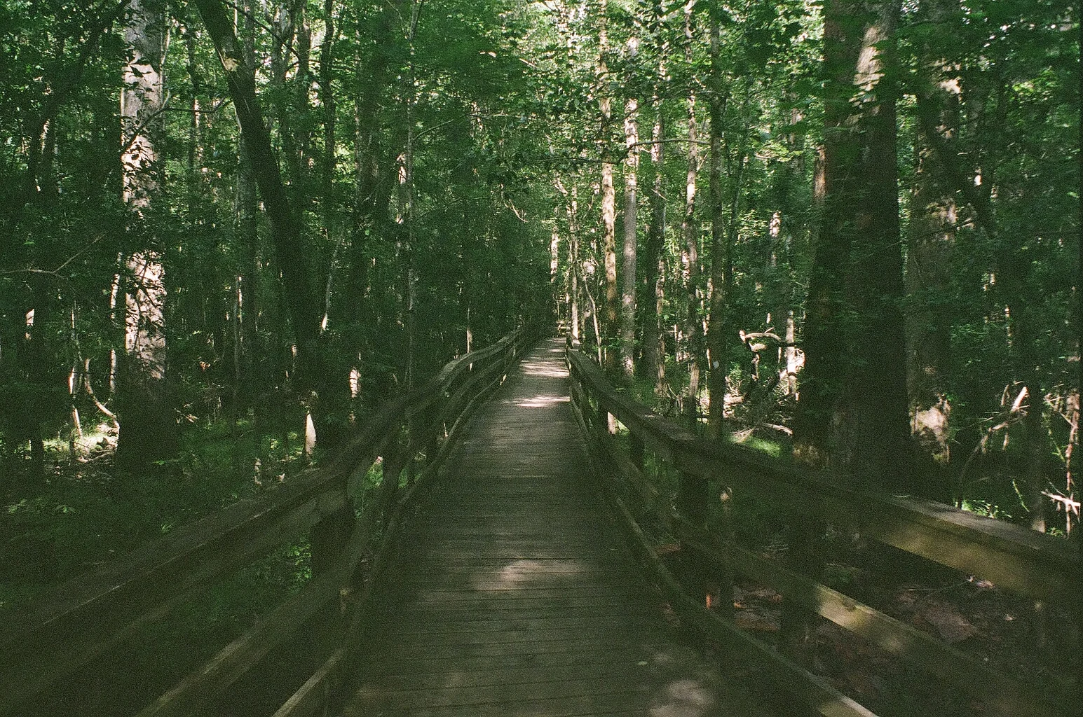95710013.jpg