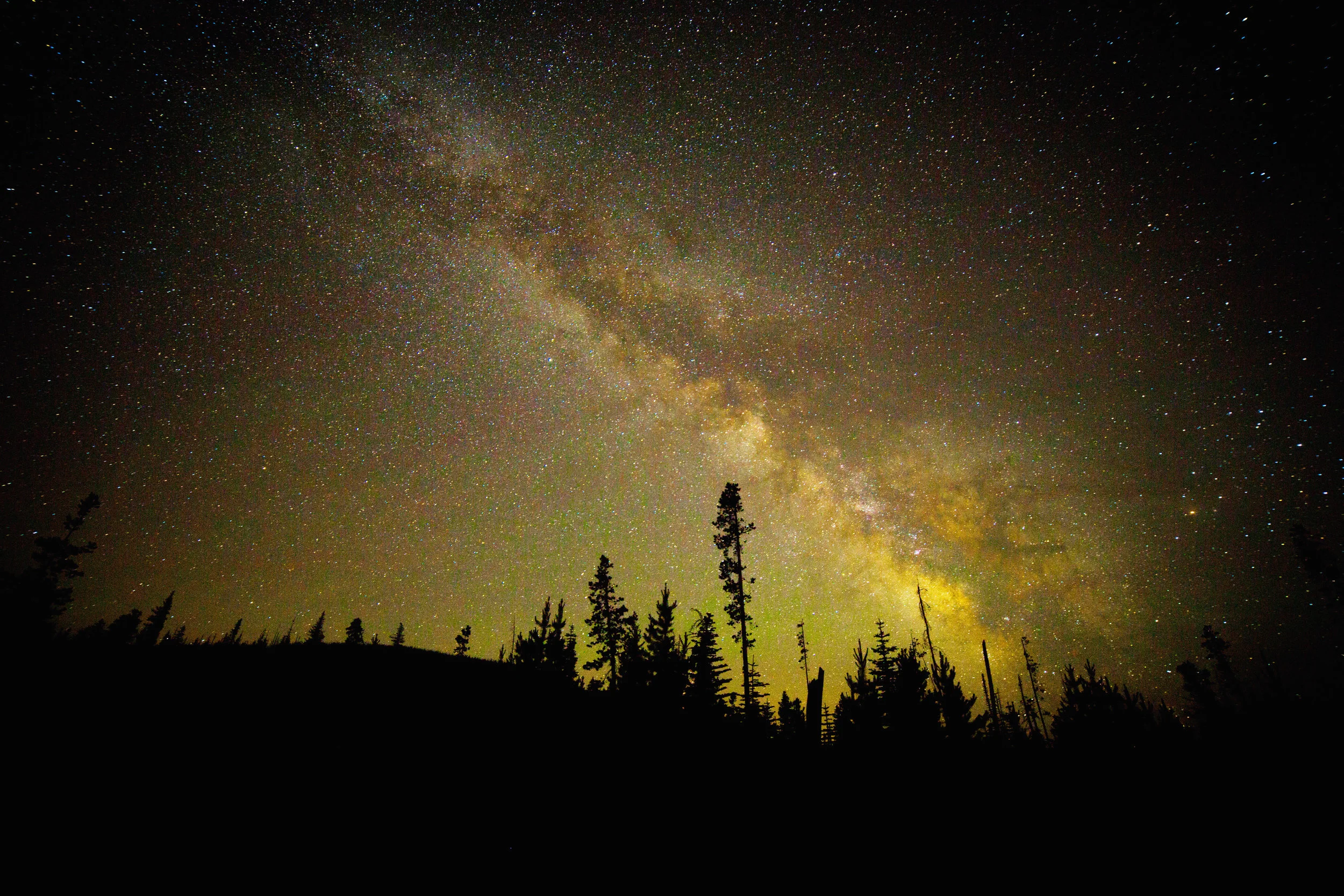 Milkey Way summer 13 copy.jpg