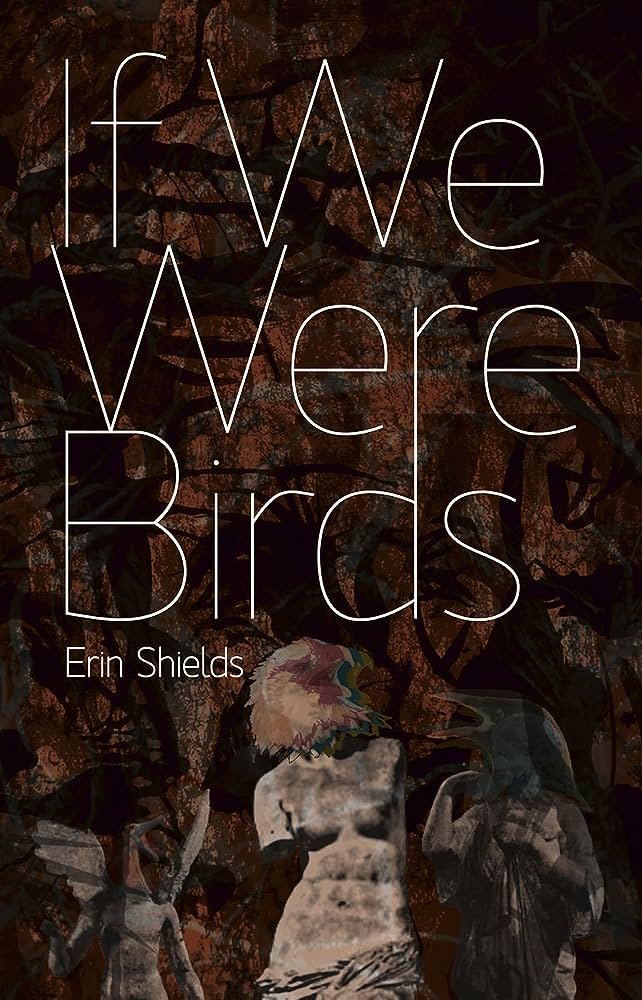 If We Were Birds by Erin Shields