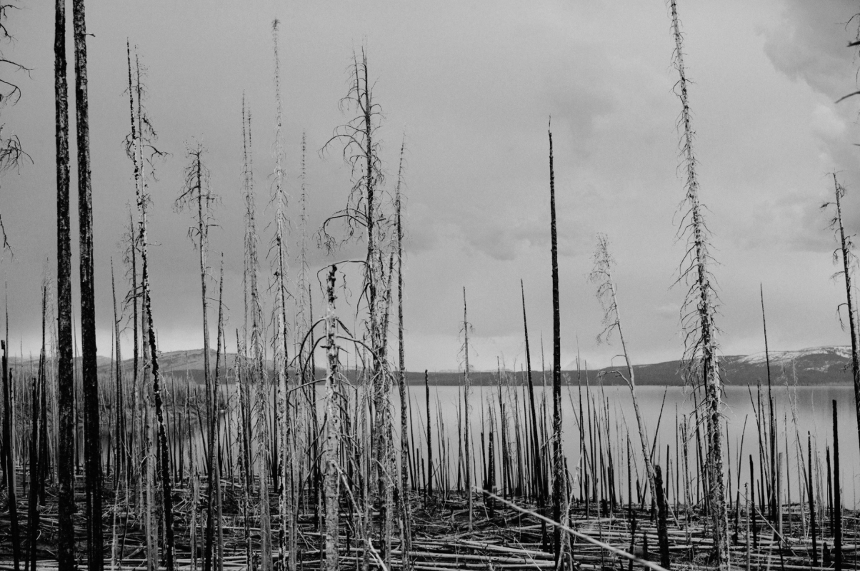 Screen Shot 2015-01-12 at 9.49.52 AM.png