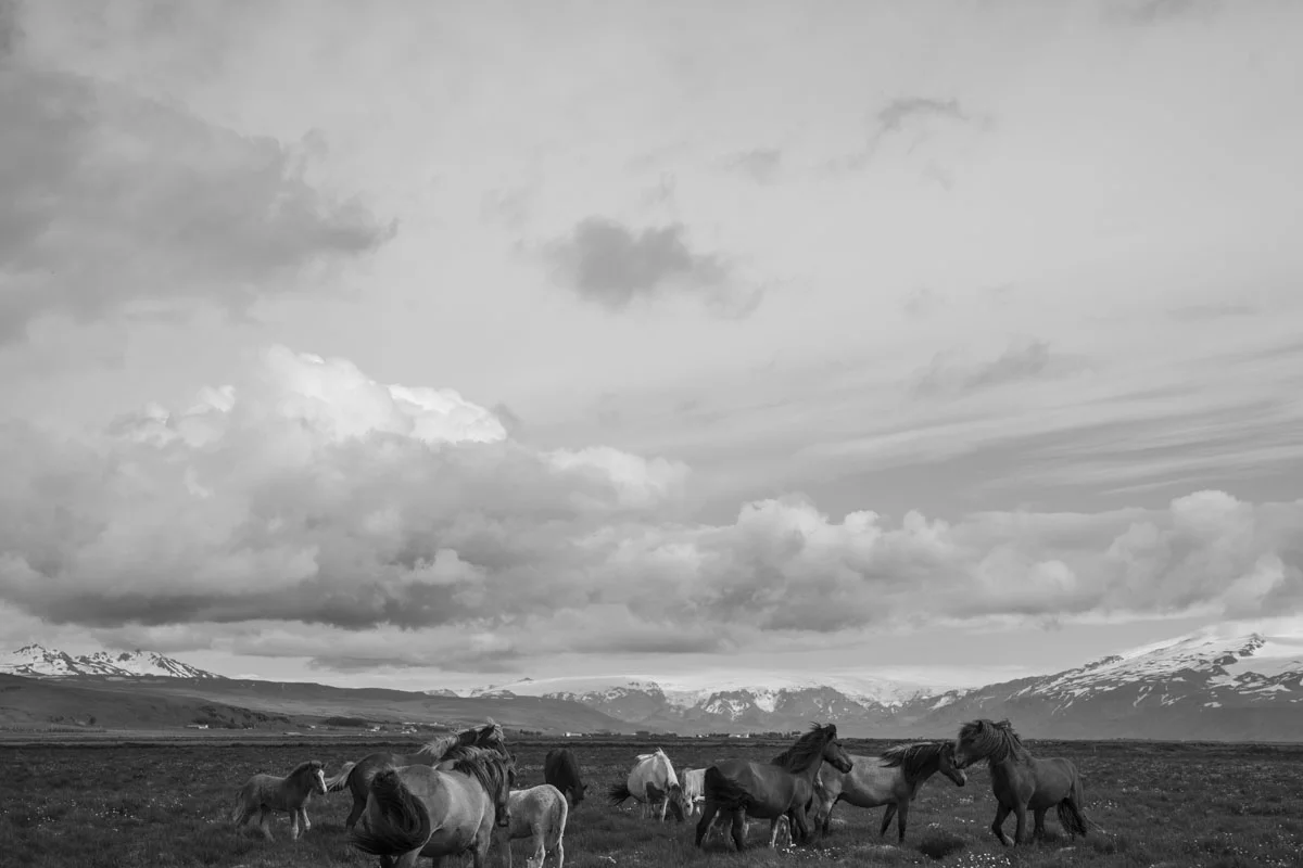 IMG_4198.jpg