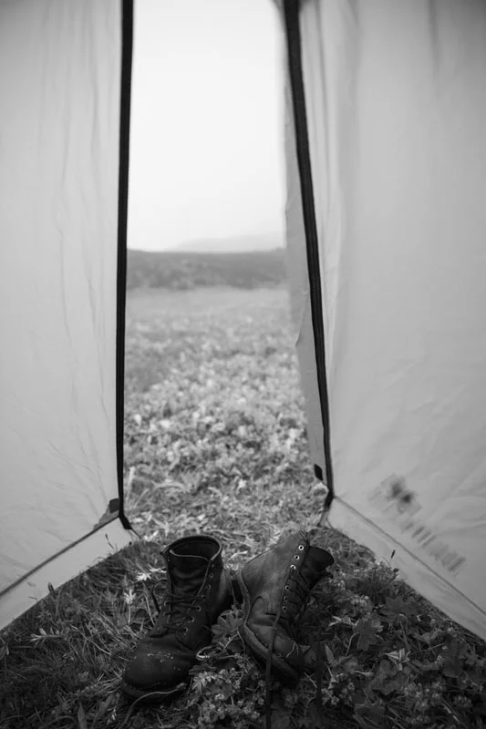 IMG_4607.jpg