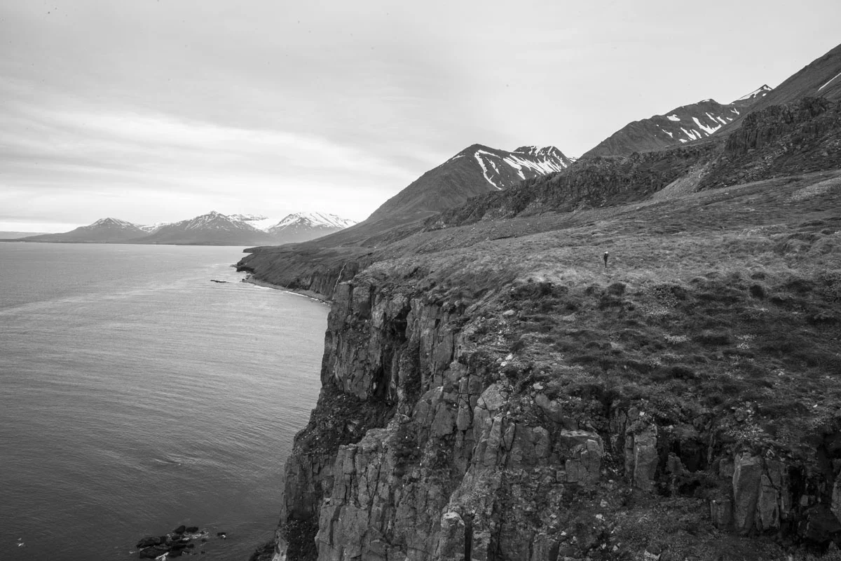 IMG_5325.jpg