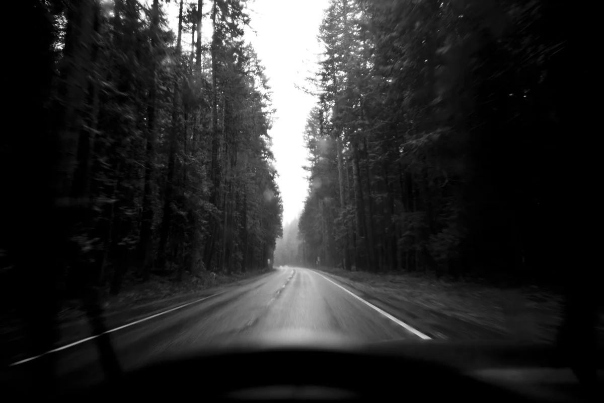 a29.jpg