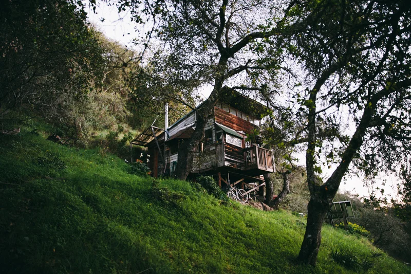 tumblr_np96bgYRzk1qmygvyo7_1280.jpg