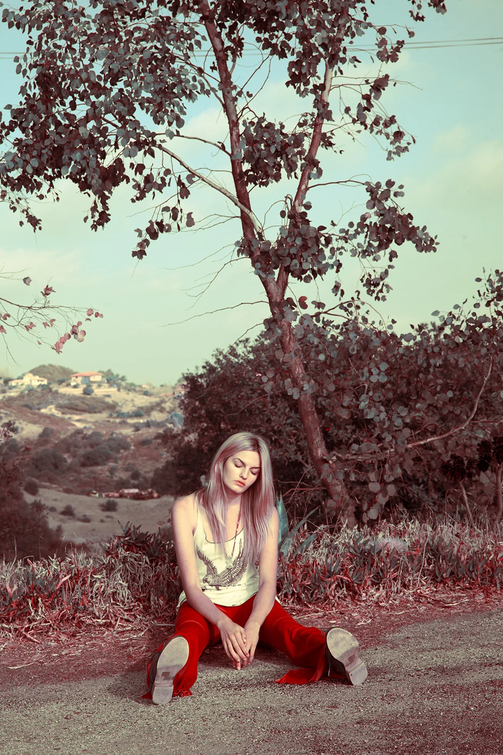 careyhaider-9.jpg