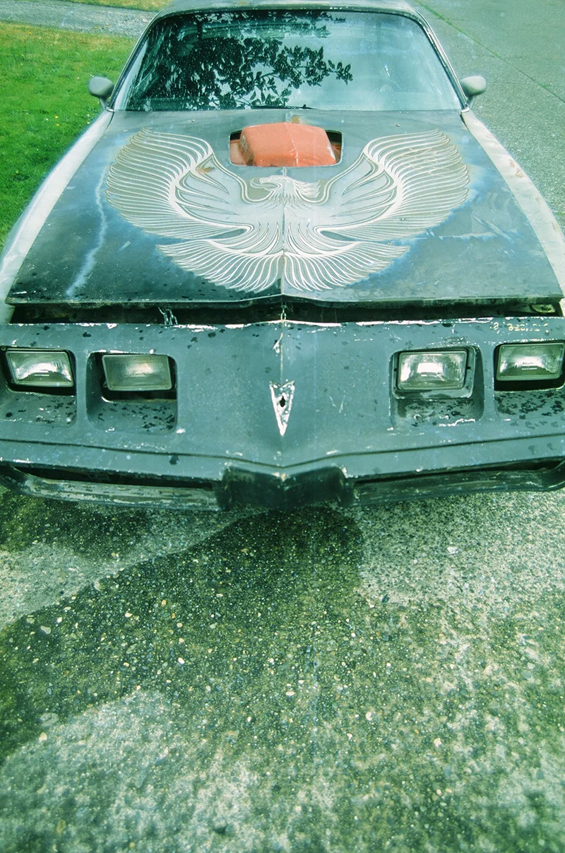 a.jpg