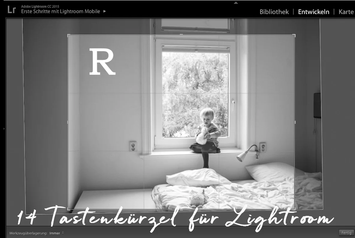 Die 14 besten Tastaturbefehle für Lightroom 