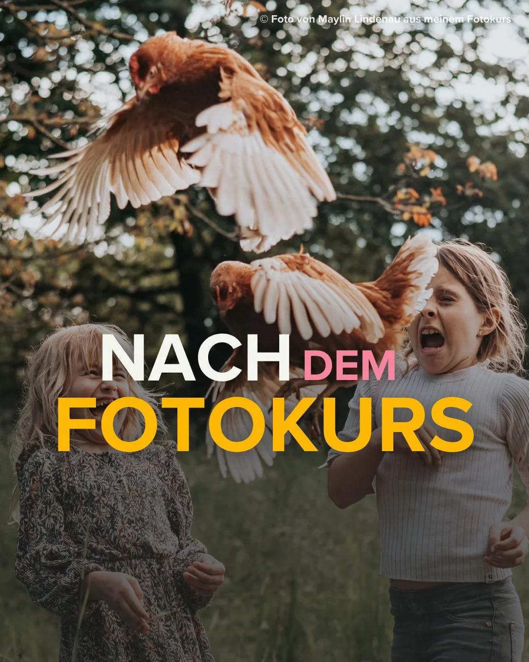 Willst du schon lange mal etwas nur f&uuml;r dich machen? Lerne mit mir fotografieren, in deinem eigenen Tempo! 😊⁠
⁠
In meinem Online-Fotokurs f&uuml;r Eltern lernst du in mehr als 60 leicht verst&auml;ndlich aufbereiteten Text-, Bilder- und Video-K