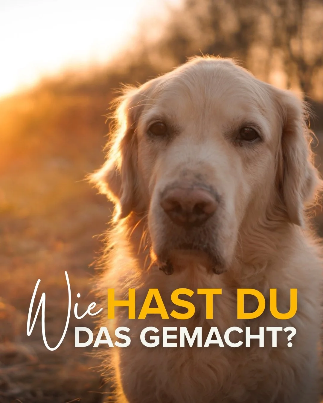 Der Online-Fotokurs f&uuml;r Eltern &ouml;ffnet nach langer Pause wieder am 1.11.2026, das letzte Mal in diesem Jahr. 😊 Kommentiere INFO f&uuml;r den Link zur Warteliste. 

Danke liebe Magdalena, dass ich dein sch&ouml;nes Foto hier zeigen darf! 💛