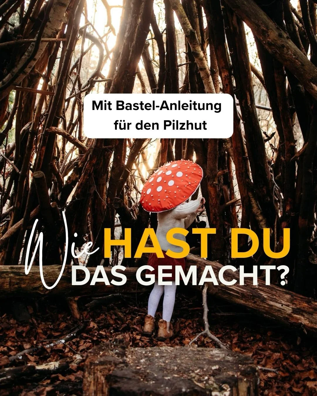 Du m&ouml;chtest den Automatikmodus hinter dir lassen und mit deiner Kamera endlich die Kinderfotos machen, die du dir beim Kauf deiner Kamera ertr&auml;umt hast? Dann seit dabei, wenn man Fotokurs am 1.11.2026 wieder &ouml;ffnet. 💛📸 Kommentiere IN