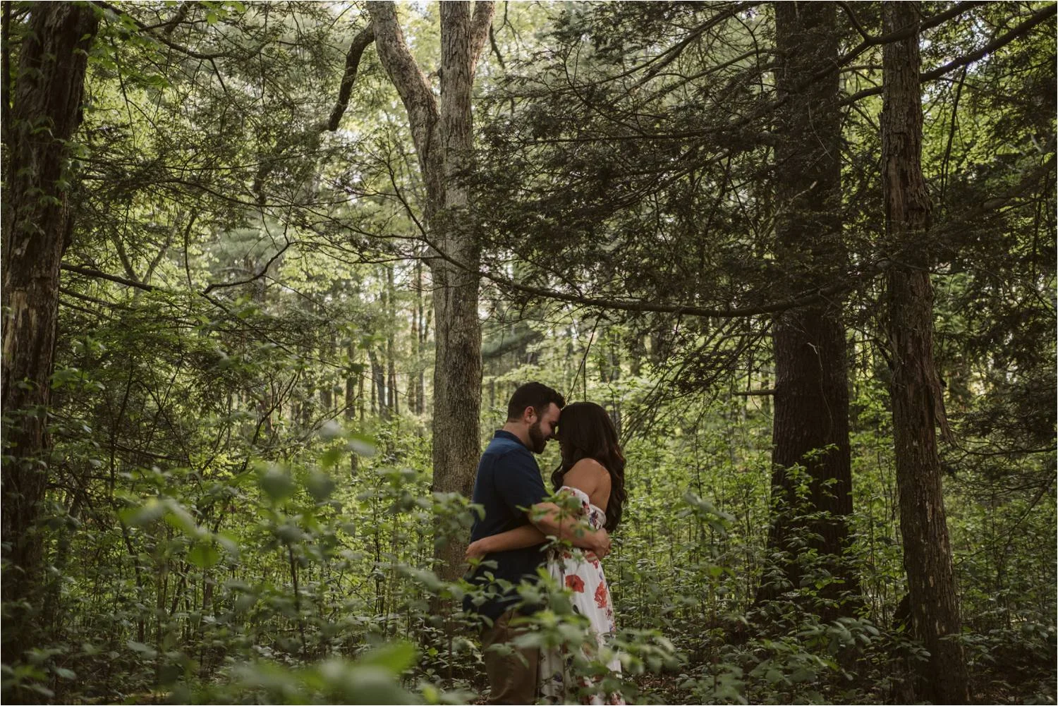 Walpole Town Forest - Walpole Engagement Session - Norfolk MA Engagement Photos - Jemima Richards