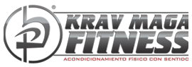 Krav Maga Fitness