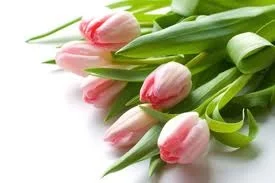 Mothers Day