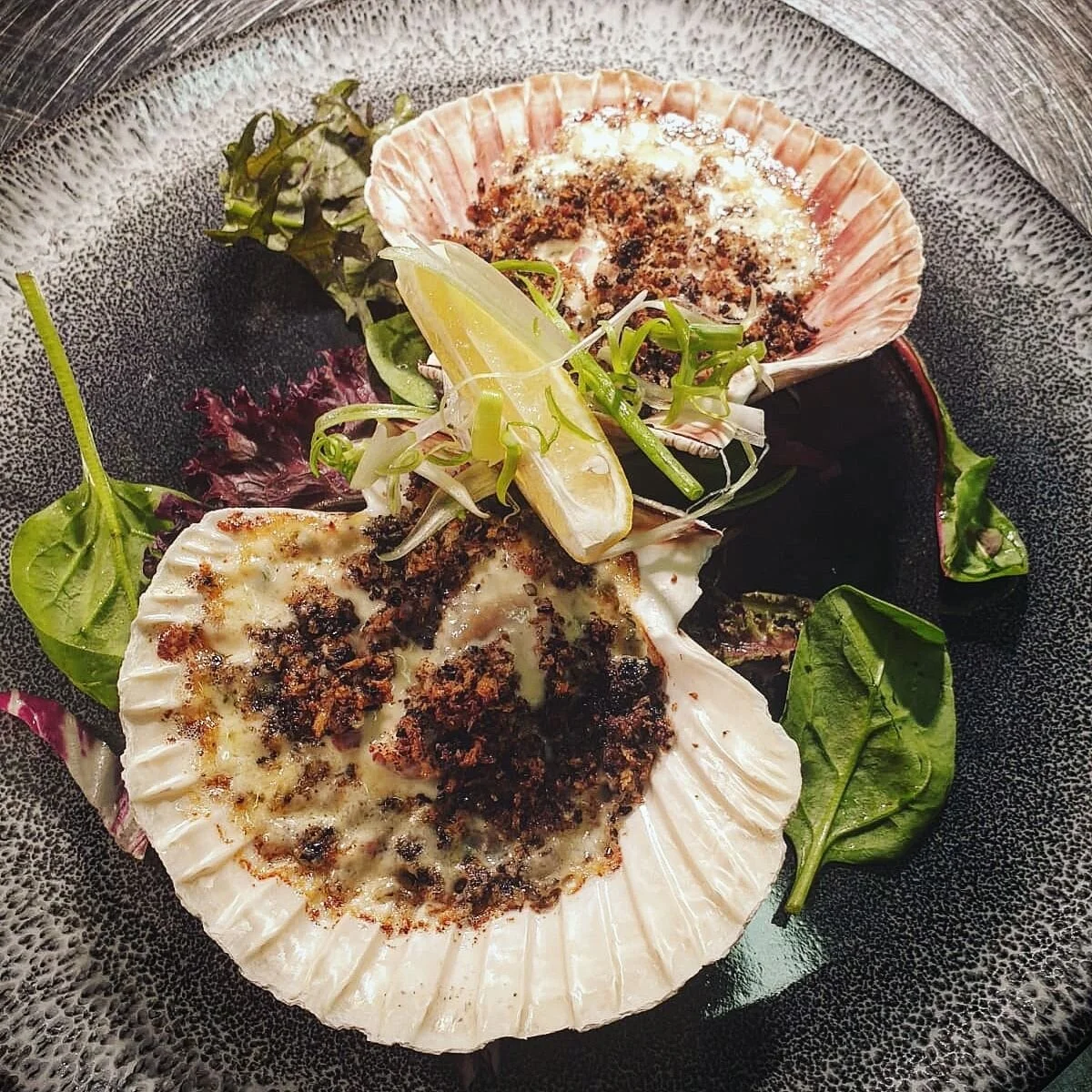 Scallops 3.jpg