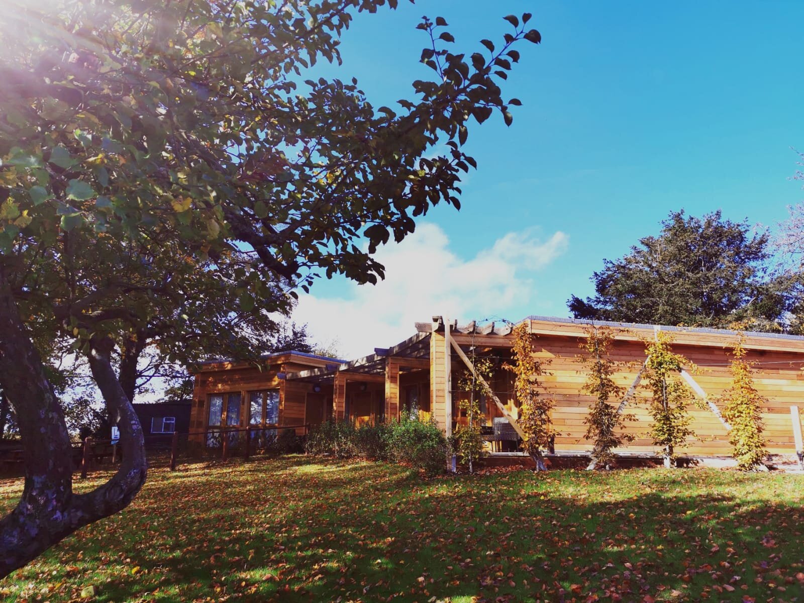 new rooms in the sun.jpg