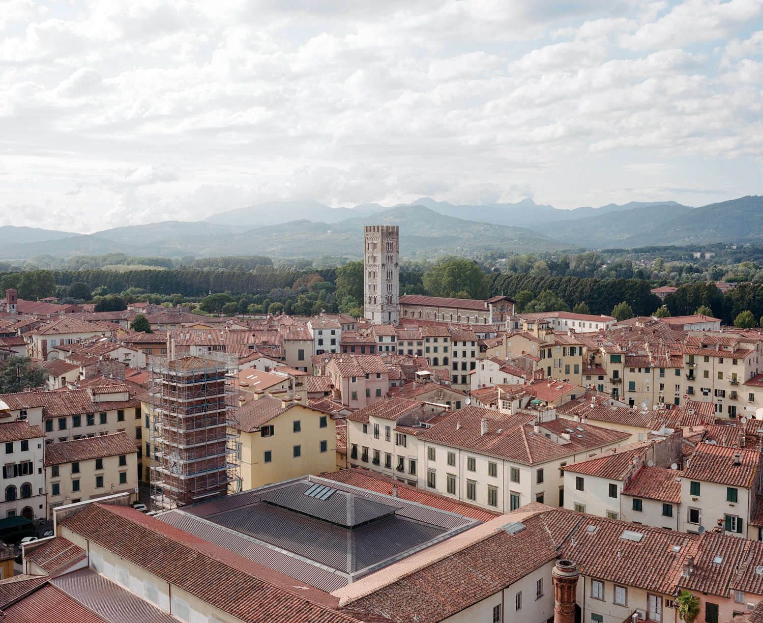LuccaMamiya765mmKP4(web).jpg