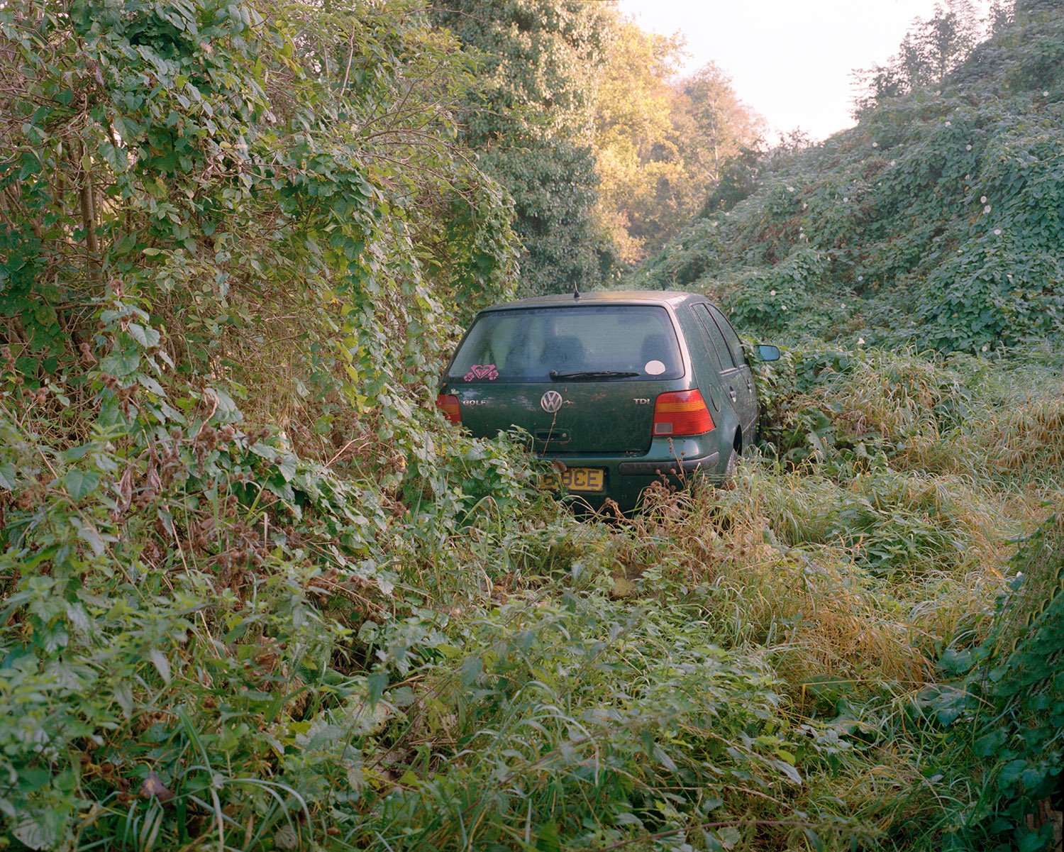 Mamiya765mmPortra400HOctober2021 (4).jpg