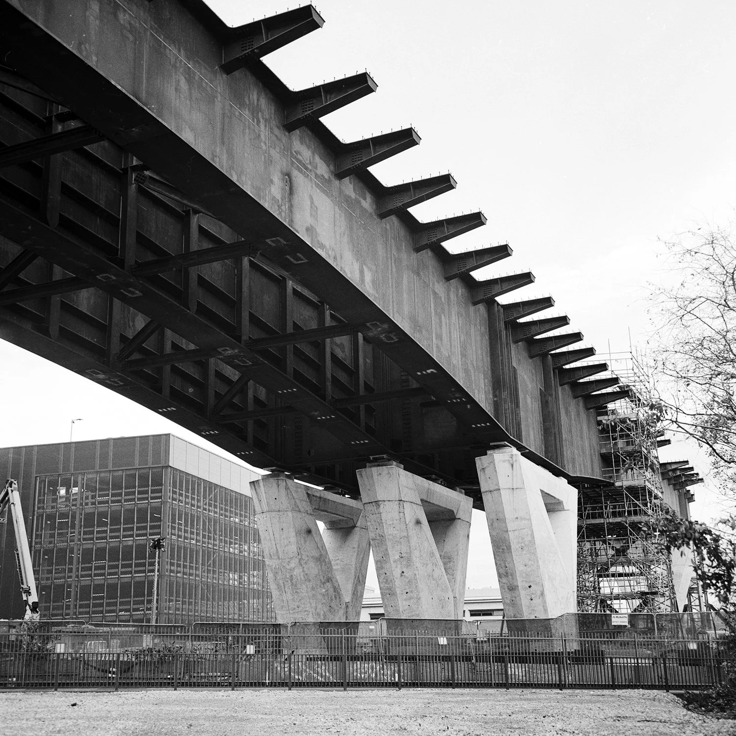 Rollei3.5(2)HP5Dec2025 (2) web.jpg