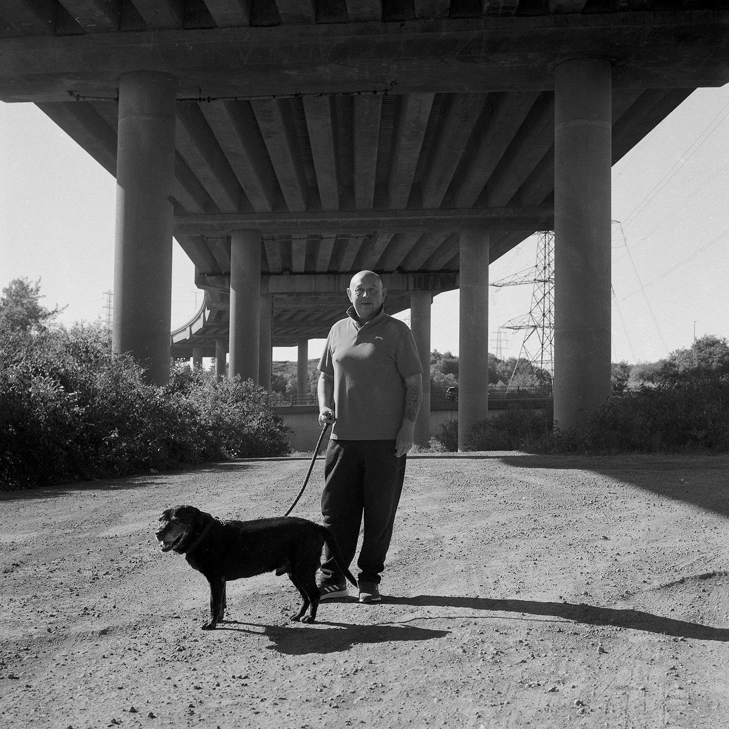 Rollie2.8fm5FHP5June2024 (9) web.jpg