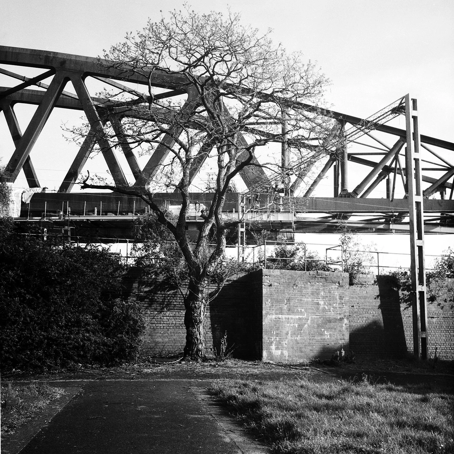 Rollei3.5f(2)Pan200April2026 web.jpg
