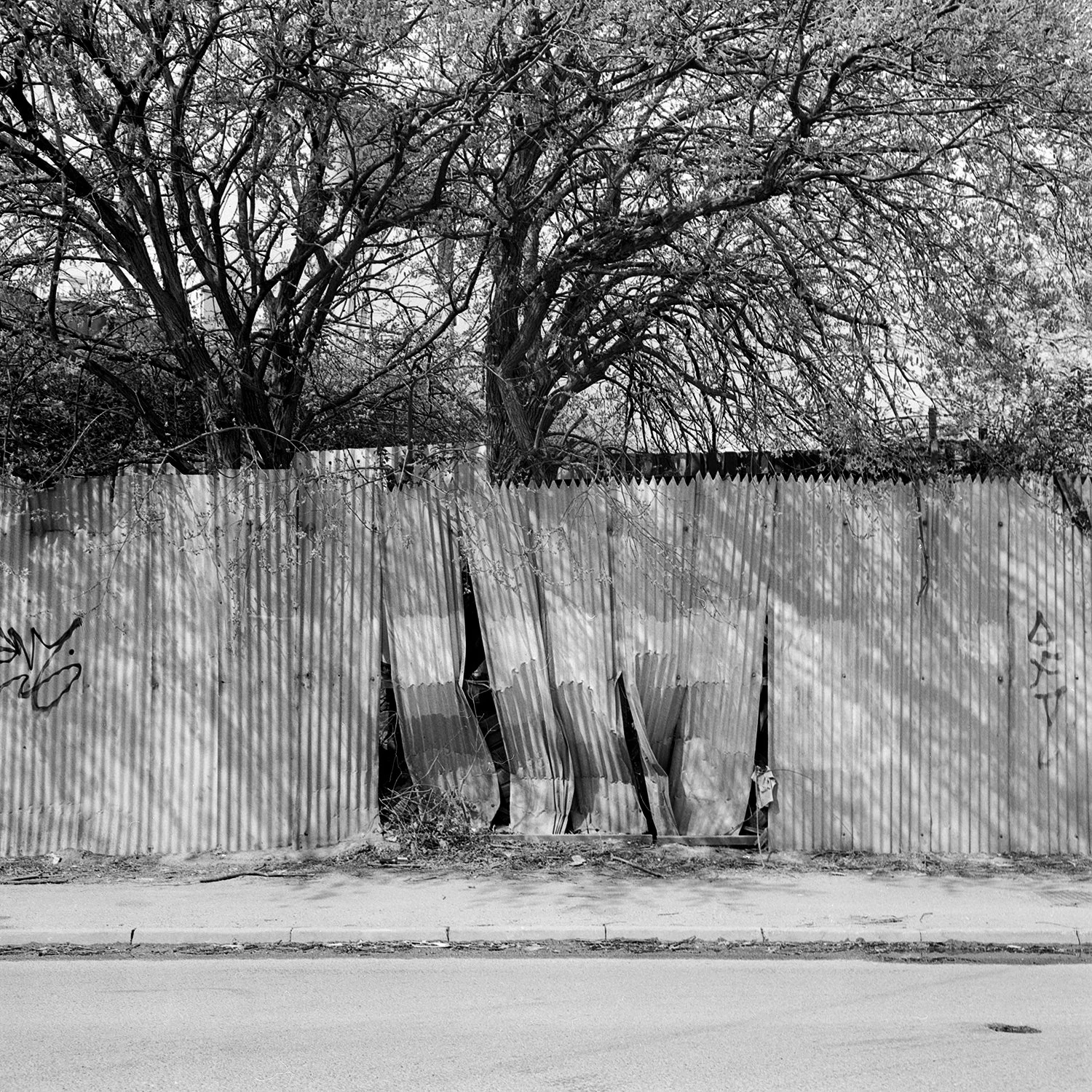 Rollei3.5(2)fHP5April2026 (3) (5web) copy.jpg