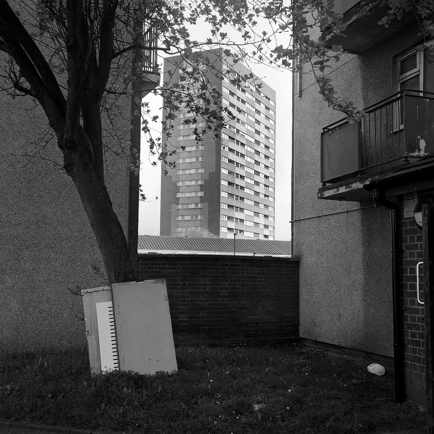 Rollei3.5f(2)HP5April2026 (4) web.jpg