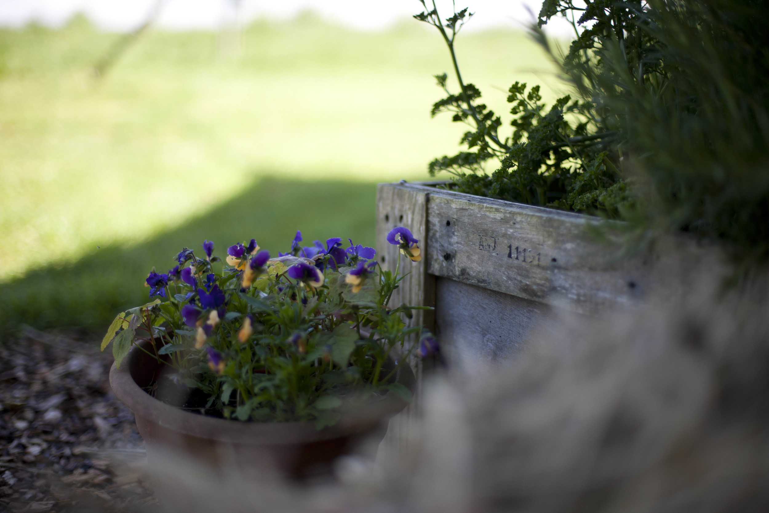 Pretty boxes on a hill side...