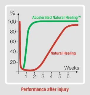 PerformanceAfterInj2.jpg_1240966217.jpg