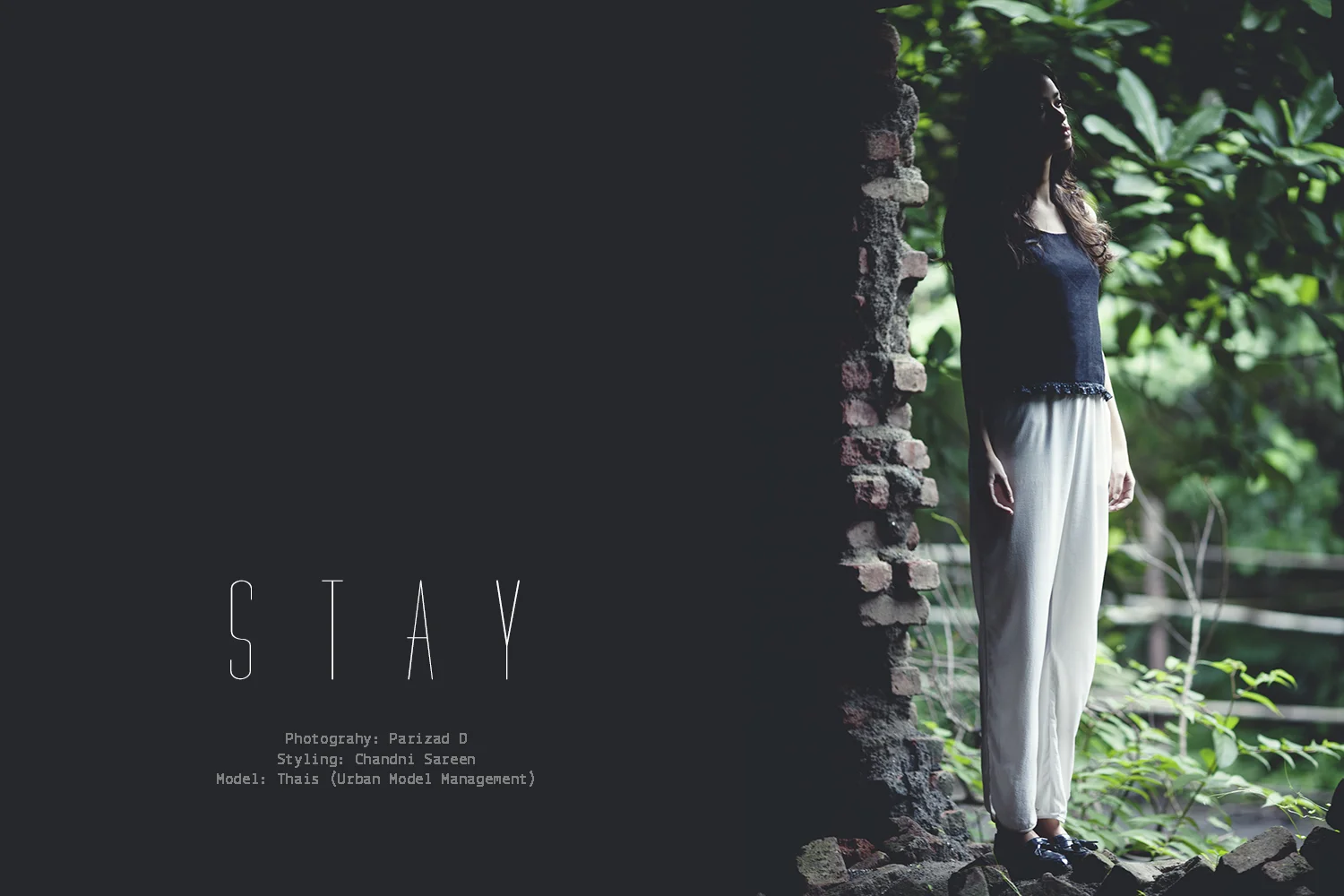 cover1small2.jpg